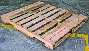Wood pallet solutions will help deliver the future to Northern Quebec
